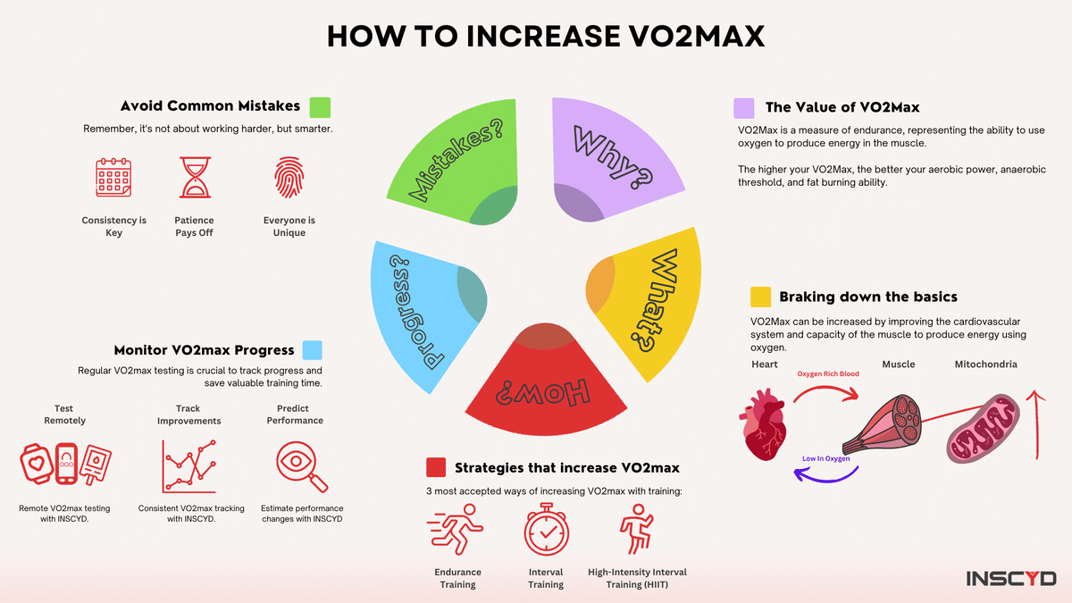 Maximizing VO2 Max: Unlocking Aerobic Potential for Peak Performance ...