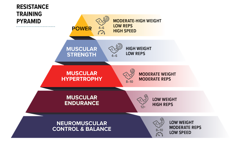 Weight Lifting Pyramid Matrix Bench Bench Press Pyramid Training